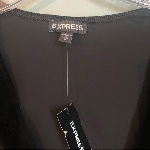 NWT Express Velvet Black Deep V Thong Bodysuit - Picture 3 of 8